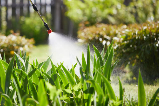 24/7 Emergency Ant Control experts in North Seekonk, MA