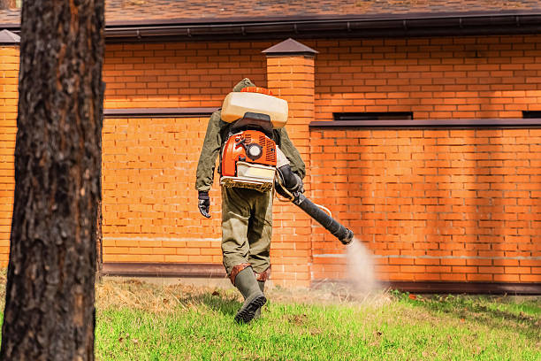Top rated local Ant Control specialists in North Seekonk, MA